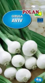 cebula-biala-aviv-idealna-do-marynowania-srednio-wczesna-nasiona