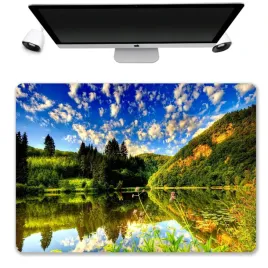 podkladka-mata-ochronna-biurko-50x35-jezioro-wzory