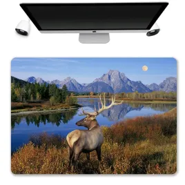 podkladka-mata-ochronna-biurko-50x35-natura-wzory