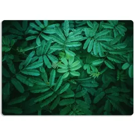 podkladka-60x40-mata-ochronna-na-biurko-natura-wz