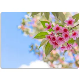 mata-ochronna-podkladka-na-biurko-40x60cm-matka-natura-kwiaty-flowers-wzory