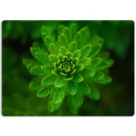 mata-ochronna-60x40-podkladka-na-biurko-natura-wz
