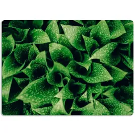 podkladka-mata-ochronna-na-biurko-60x40-natura-wz