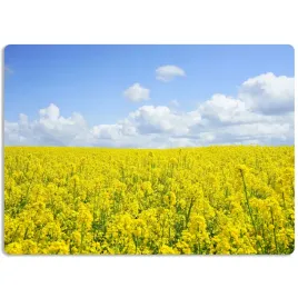 podkladka-mata-ochronna-na-meble-40x60cm-natura-kwiaty-flowers-rozne-wzory