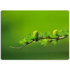 mata-ochronna-60x40-podkladka-na-biurko-natura-wz