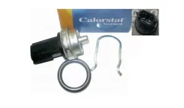 czujnik-temperatury-2-0-dci-laguna-iii-latitude