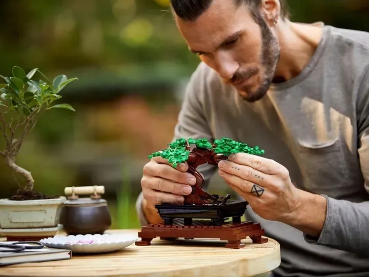 lego-creator-drzewko-bonsai-10281-stan-nowy-wiek-dziecka-brak-informacji
