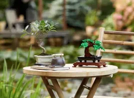 klocki-lego-drzewko-bonsai-piekna-ozdoba-do-domu-prezent-dla-doroslych