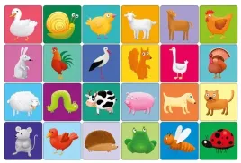 memory-farma-gra-pamieciowa-dla-dzieci-zwierzeta-wiejskie-memo-adamigo-3