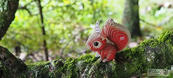 wiewiorka-eugy-eko-ukladanka-3d-material-inny