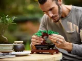 lego-creator-drzewko-bonsai-10281-stan-nowy-wiek-dziecka-brak-informacji