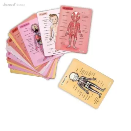 ukladanka-magnetyczna-cialo-czlowieka-janod