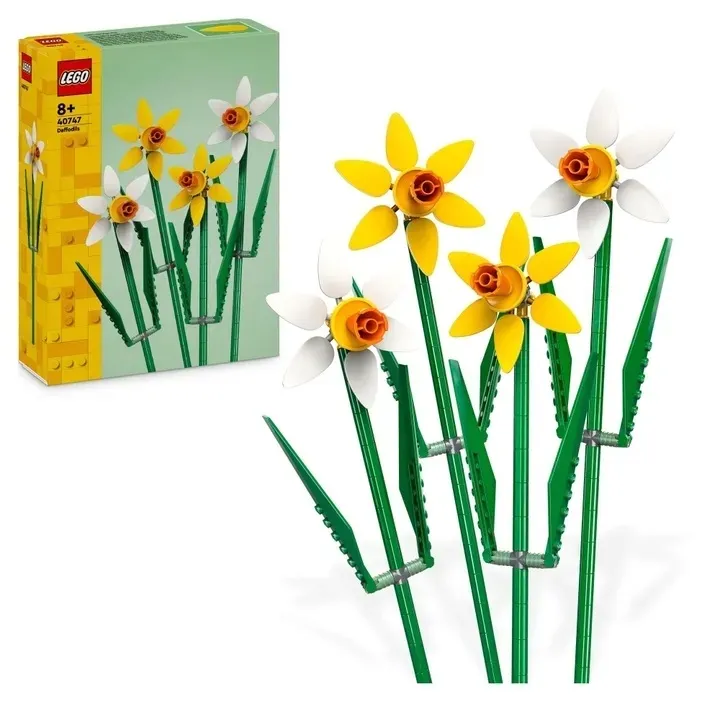lego-40747-iconic-creator-zonkile