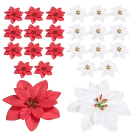 gwiazda-betlejemska-zestaw-24szt-na-stroik-bozonarodzeniowy-ozdobne-swieta