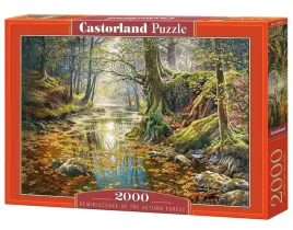 puzzle-2000-wspomnienie-z-jesiennego-lasu-castor