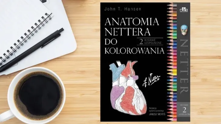 anatomia-nettera-do-kolorowania-john-t-hansen-wydawnictwo-esteri-edra-urban-and-partner
