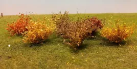 mininatur-poznojesienne-krzewy-3-cm-3-szt