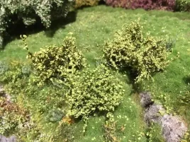 mininatur-wiosenne-krzewy-45-cm-3-szt