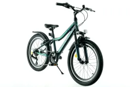 rower-dzieciecy-20-kands-smart-am-2025-ciemnozielony-mat