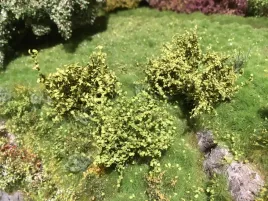 mininatur-zielone-wiosenne-krzewy-3-cm-3-szt