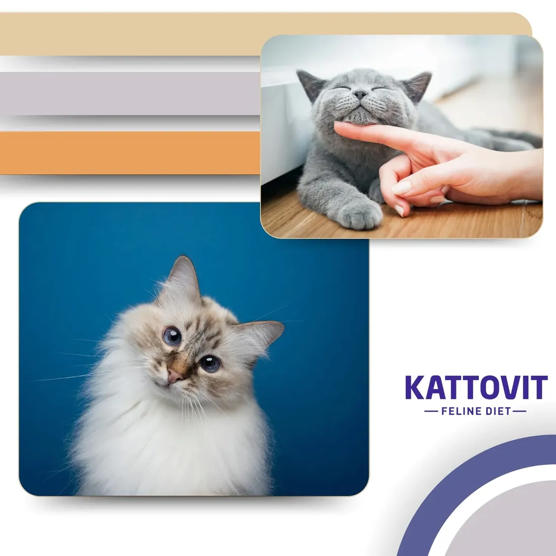 kattovit-or-urinary-or-multipac-urinary-12x85g