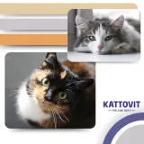 kattovit-or-urinary-or-multipac-urinary-12x85g-smak-mix-smakow