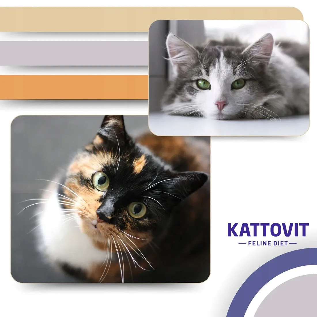 kattovit-or-urinary-or-multipac-urinary-12x85g