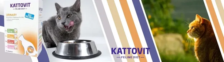 kattovit-or-urinary-or-multipac-urinary-12x85g-stan-nowy