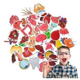 naklejki-anatomiczne-zestaw-50-sztuk-anatomia-nauka-acus-med