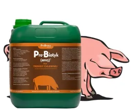 probiotyk-dla-trzody-i-swin-mieszanka-paszowa-prawidlowy-przyrost-wagi-5l