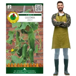 ogorek-mini-iznik-plenny-smaczny-idealny-do-salatek-do-uprawy-balkonowej