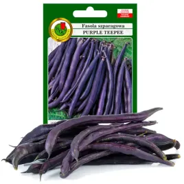 fasola-szparag-fioletowa-purple-teepee-30g-bez-gmo