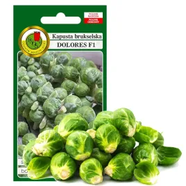 kapusta-brukselska-dolores-odporna-nasiona-bez-gmo
