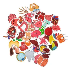 naklejki-anatomiczne-acus-med-roznorodne-i-kreatywne-w-zestawie-50-sztuk