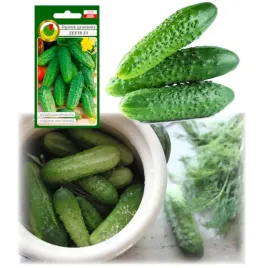 ogorek-zefir-wyjatkowo-smaczny-odporny-wczesny-odporny-nasiona-5g