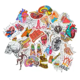 naklejki-anatomiczne-acus-med-roznorodne-i-kreatywne-w-zestawie-53-sztuk