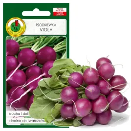 rzodkiewka-viola-krucha-delikatna-nasiona-bez-gmo