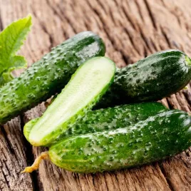 ogorek-sremski-f1-wczesny-plenny-smaczny-odporny-do-kiszenia-nasiona-2g