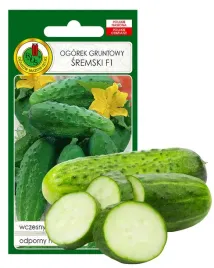 ogorek-sremski-f1-wczesnie-owocuje-plenny-smaczny-odporny-nasiona-2g