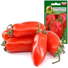 pomidor-san-marzano-2-pod-oslony-miesisty-smaczny