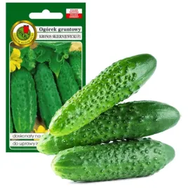 ogorek-gruntowy-kronos-skierniewicki-na-przetwory-bez-gmo