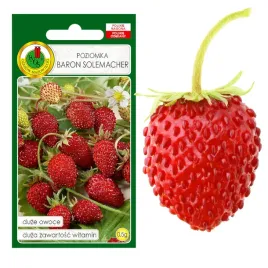 poziomka-baron-solemacher-05g-duzy-owoc-bez-gmo