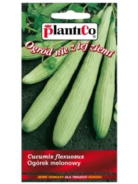 ogorek-melonowy-3g-plantico-nasiona