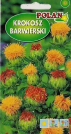 krokosz-barwierski-1g-nasiona-kwiatow