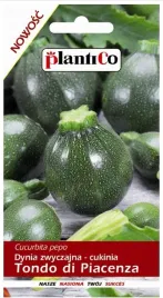 cukinia-dynia-zwyczajna-tondo-di-piacenza-2g