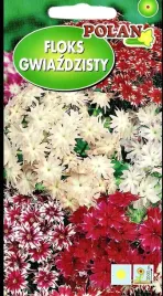 floks-gwiazdzisty-05g-nasiona-kwiatow-polan