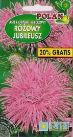 aster-chinski-igielkowy-rozowy-jubileusz-12g