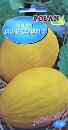 melon-1g-jaune-canari-2-nasiona-owocow-warzyw