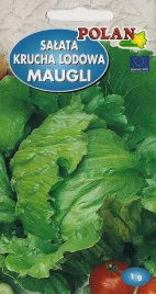 salata-lodowa-maugli-1g