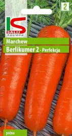 marchew-berlikumer-2-perfekcja-5g-nasiona-salnas